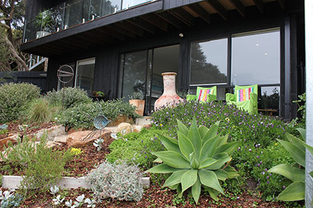 Photo of apartment garden